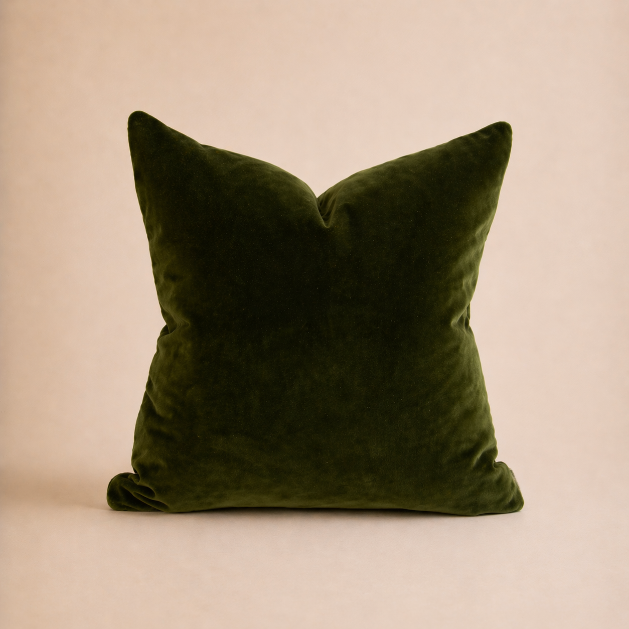 The Classic Velvet Cushion