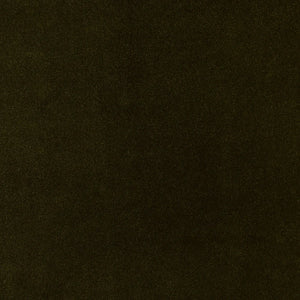 YC Cotten velvet Moss