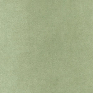 YC cotten Velvet Moss
